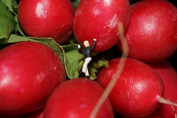 fotografische inszenierung